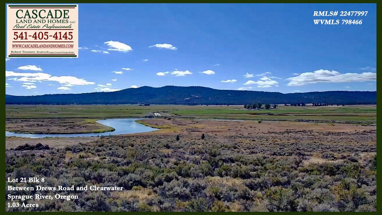 another photo of what your views could be from your new home! there are cows and family farms in the valley, but it is very rural here. mostly you will see an occasional fisherman and the abundant wildlife that comes down to the valley floor.