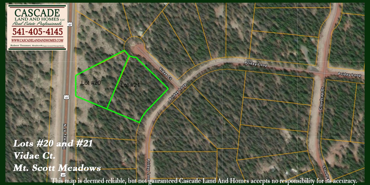 this is a county parcel map showing the property and the adjoining parcel.