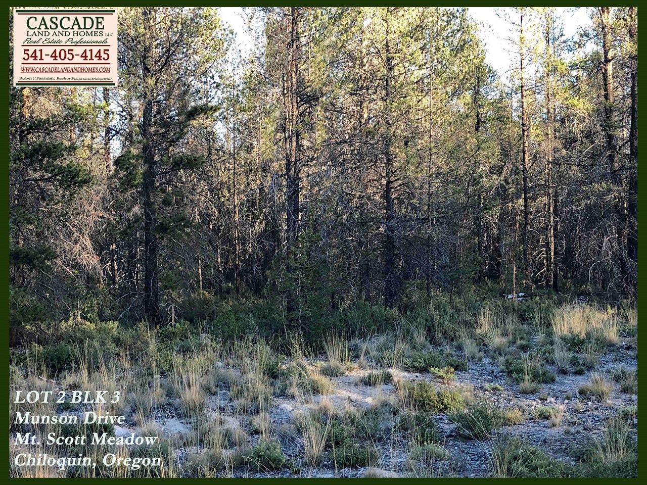this would be an excellent place to use as a base camp to explore the nearby rivers, lakes, mountains, and the over 1,000,000 acres of public lands within the nearby freemont-winema national forest! hiking, ohv/atv, horseback riding, mountain biking, bird and wildlife watching, fishing, boating, and fly-fishing are all popular here!