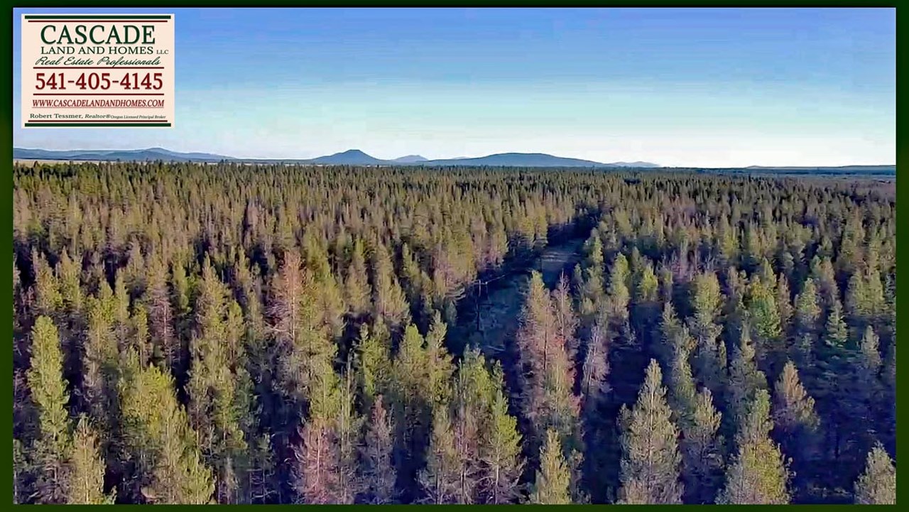 drone photo from above the subdivision showing the property and surrounding mountains and foothills.