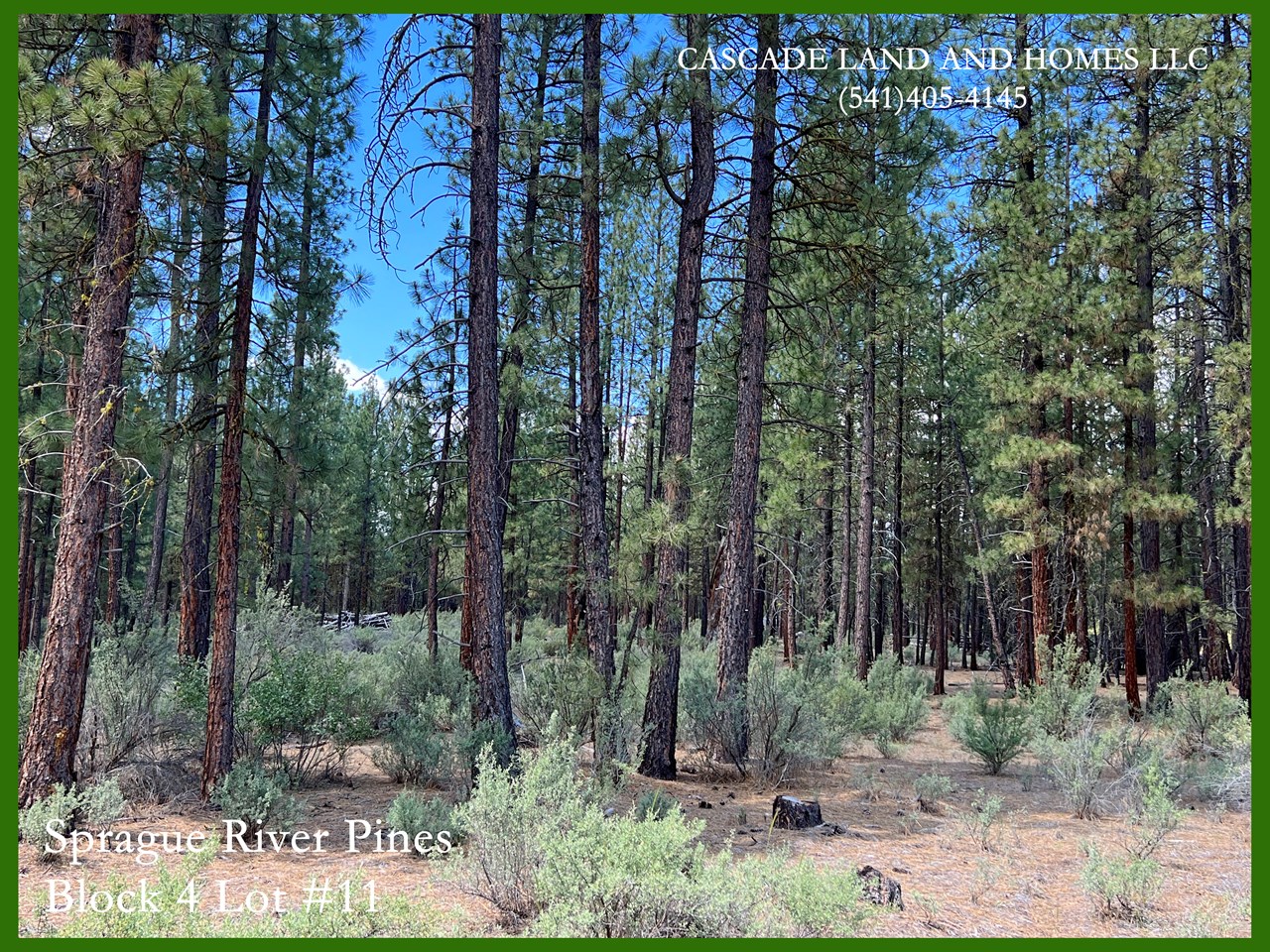 the lot is mostly flat, offering many possible building sites. can't you just see your new home nestled in among the pine trees? the smell of the pines is intoxicating, and as the clear mountain air fills your lungs, you may never want to leave this place.