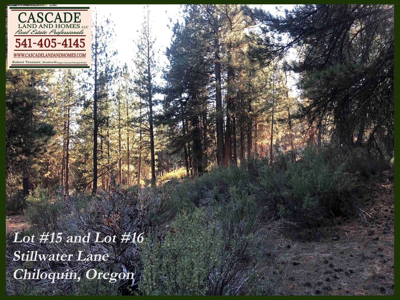 the property is heavily forested, and there are many possible building sites. bring your house plans and explore the possibilities!