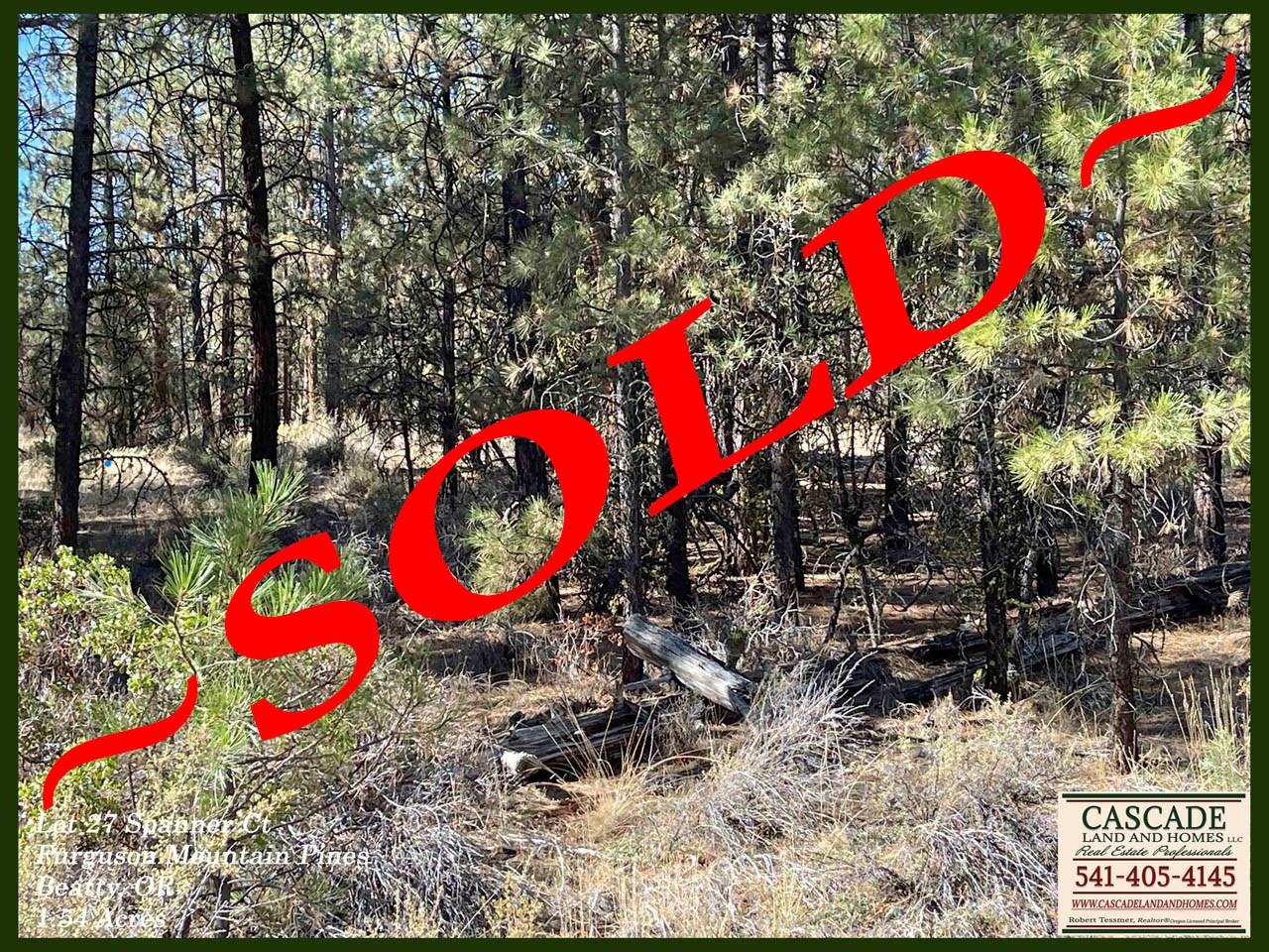 property listing image