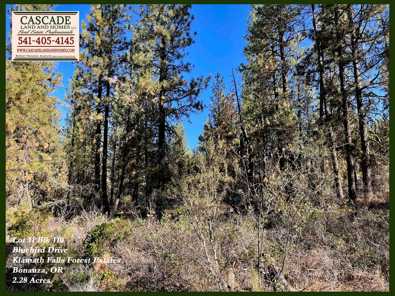 there is almost no light or air pollution here, so stargazing on clear nights is absolutely breathtaking! if you had a two-story home here with a deck, you could look out across the trees and forest and up and the endless stars at night.