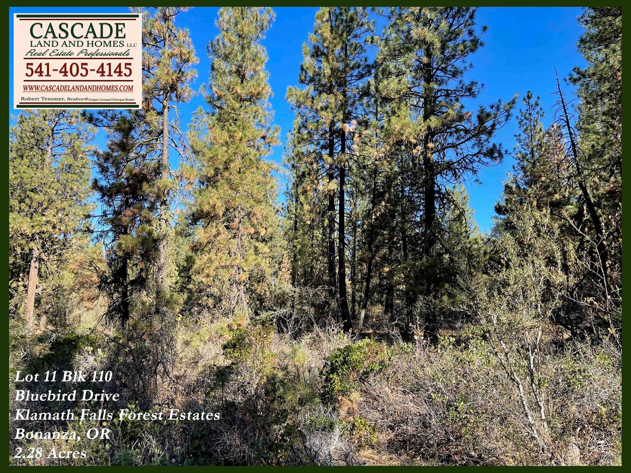 there is a nice variety of trees growing on the property that would allow for added privacy and the real feeling of being out in the forest. when you stand on the property and breathe in, the smell of the forest is absolutely rejuvenating!