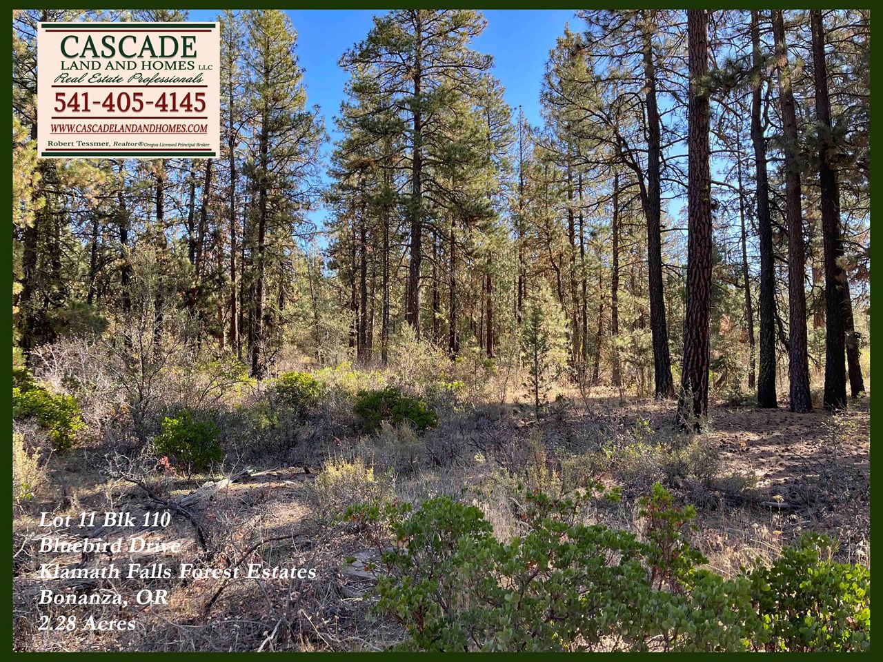this large parcel has many possible building sites! there are nice stick-built homes nearby, and modular homes are allowed within the subdivision. bring your house plans and explore the possibilities!