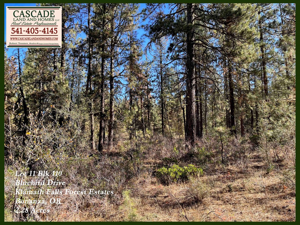 the property is heavily treed and covered with shrubs including sage and manzanita and native grasses. the soil here is volcanic loam with a layer of mulch from the pine needles under the tree canopy.