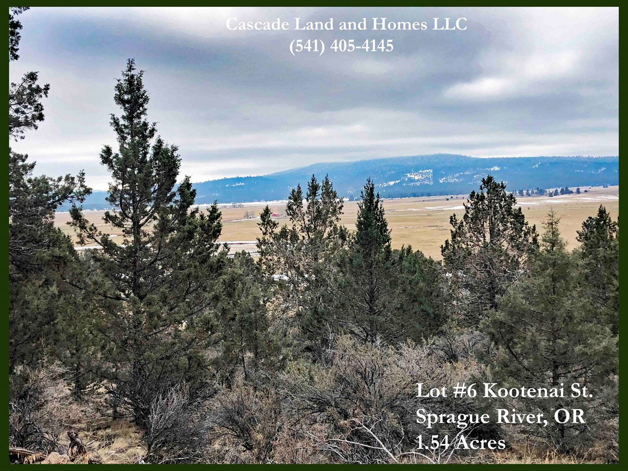 the gently slope upward of the property offers excellent views of the valley! fall is coming to an end when we took this photo, but in early spring the entire valley turns back to the lush green that lasts most of the summer. in late spring the wildflowers blanket the valley in white, yellow and purple.