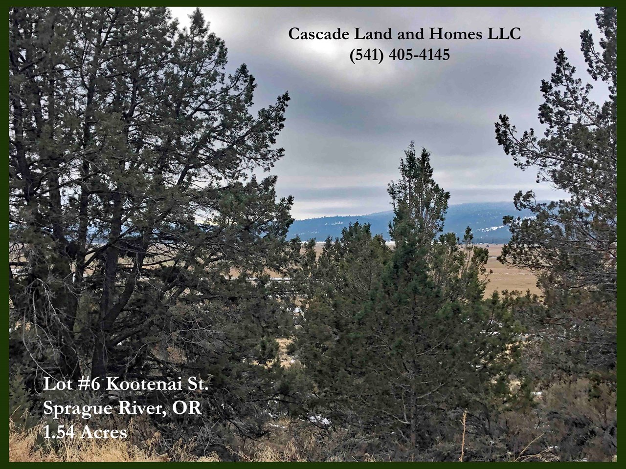 the property has many mature trees, low shrubs including rabbit brush and sage, and native grasses.