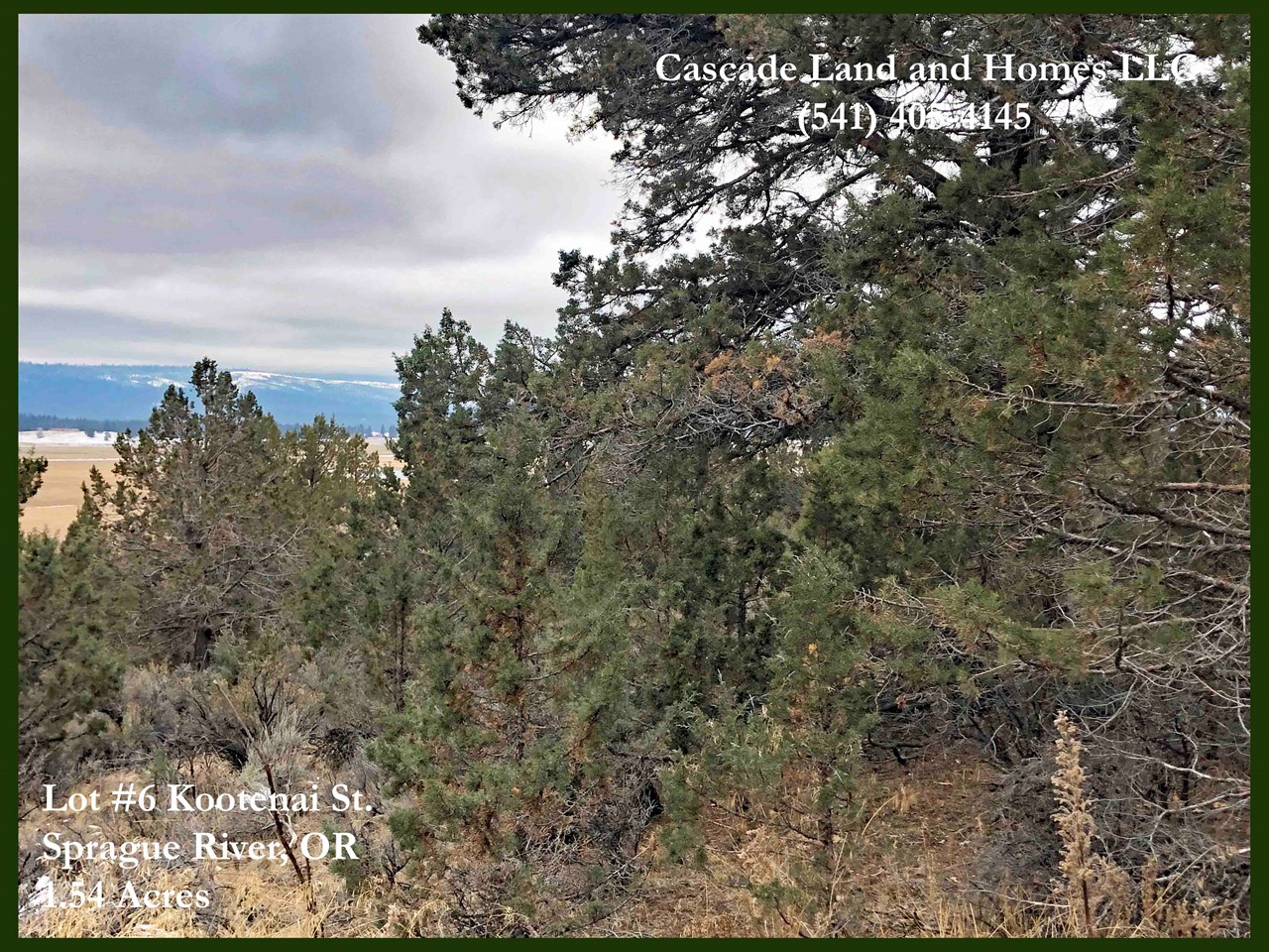 this property is located where it would be an easy drive for so many recreational activities, there is something for everyone here! there is also over a million acres of national forest and even more public lands nearby waiting for you to explore! with the tall  trees and fresh air, you may just want to stay home and enjoy your new home!