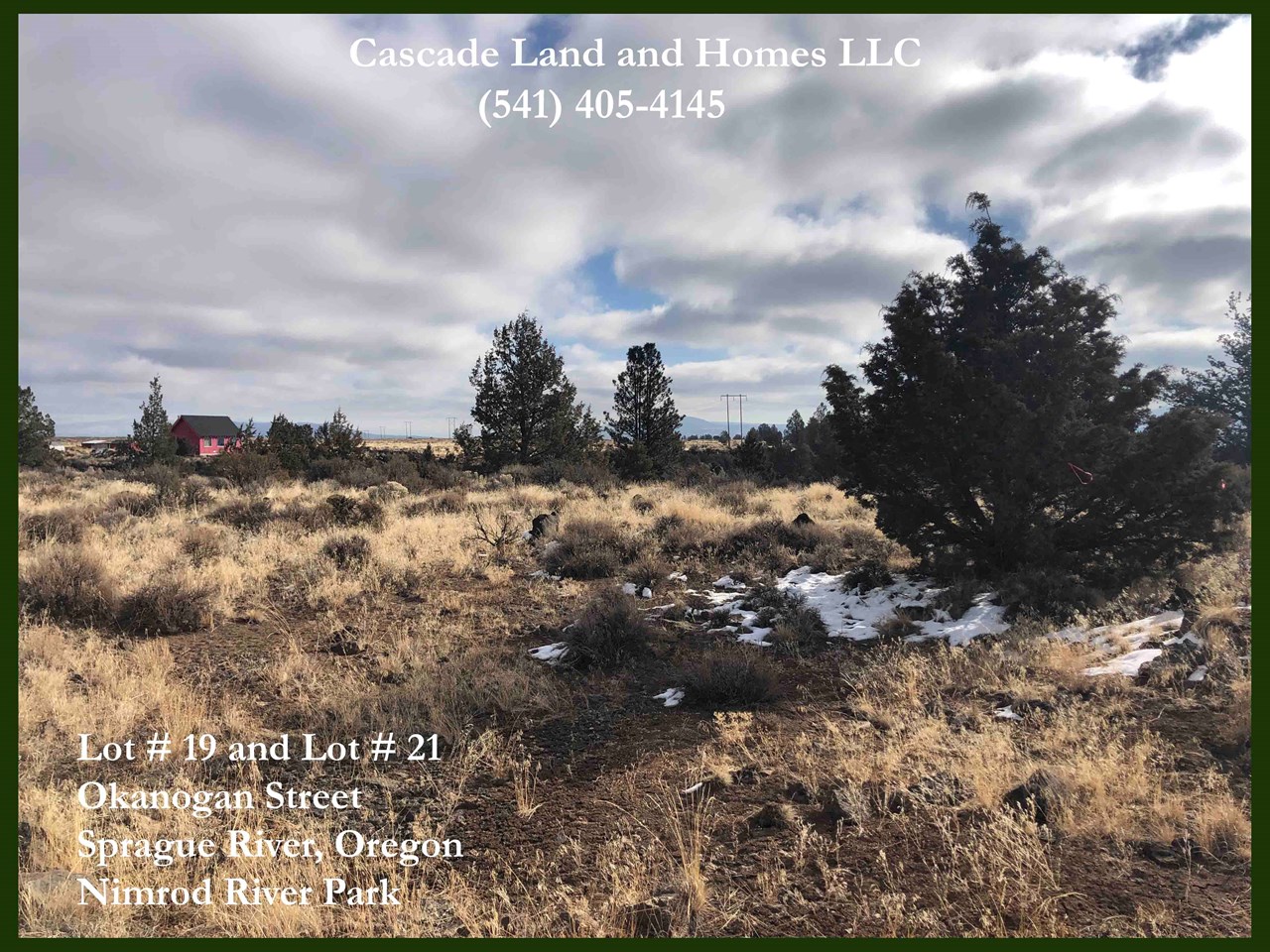 there are a few western juniper trees on the property, but it is primarily covered in low brush, including sage and rabbit brush. there are also native grasses, and in the spring the entire plateau is covered in wildflowers!