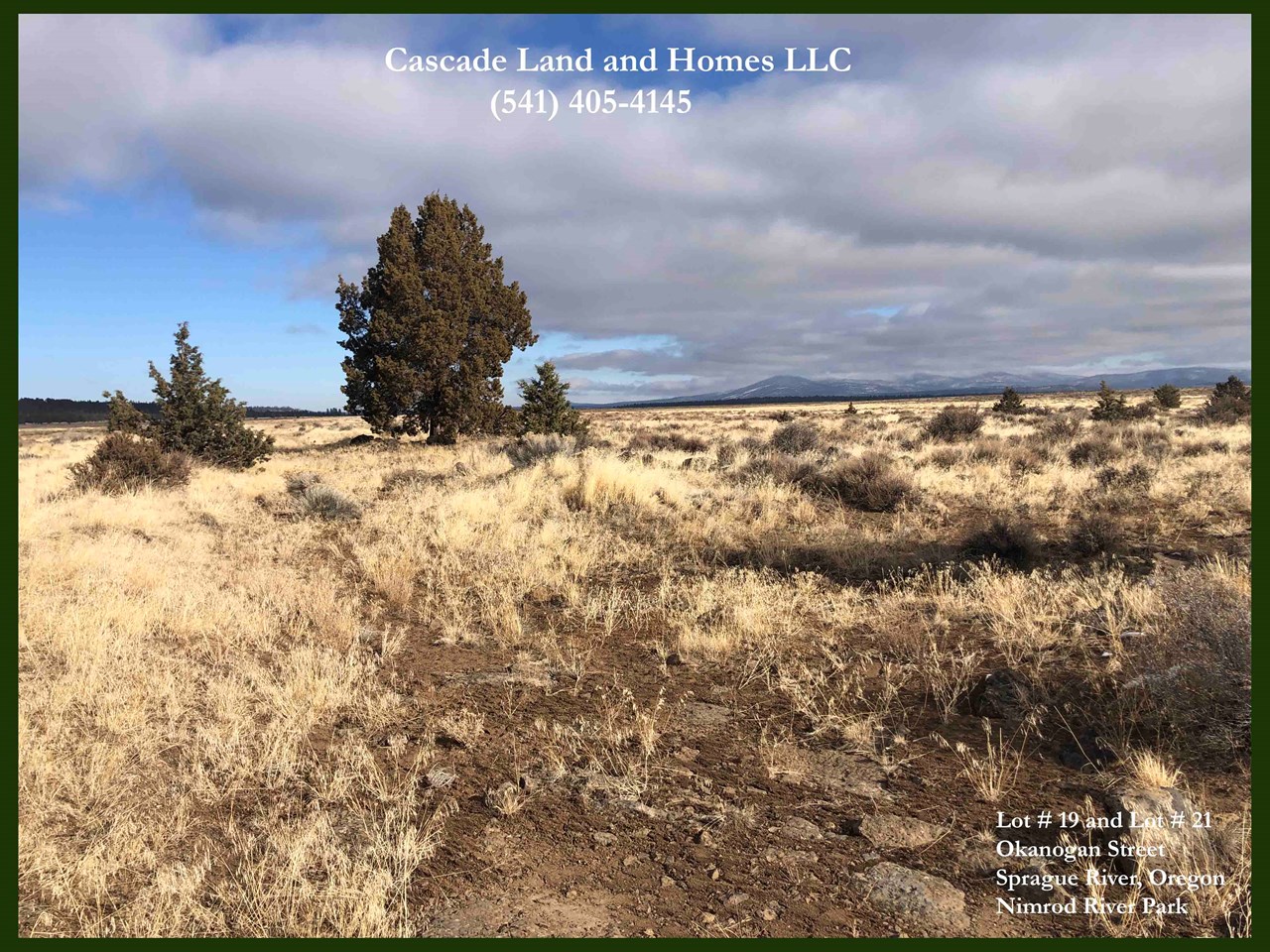 there are a few western juniper trees on the property, but it is primarily covered in low brush, including sage and rabbit brush. there are also native grasses, and in the spring the entire plateau is covered in wildflowers!