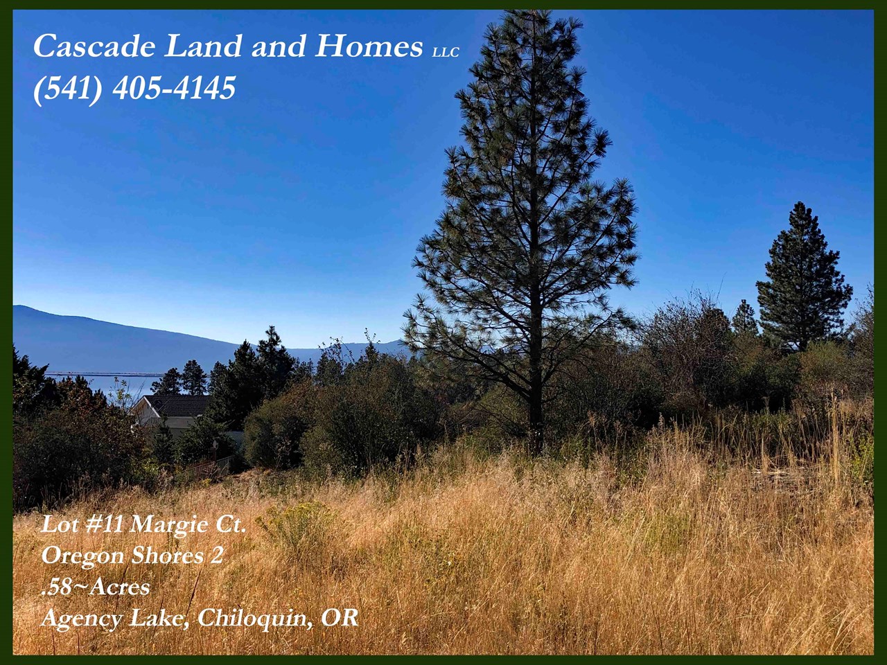 the property has a few pine trees, native shrubs and grasses. in the springtime the entire area is covered with wildflowers all the way from the rolling foothills to the shore of the lake!