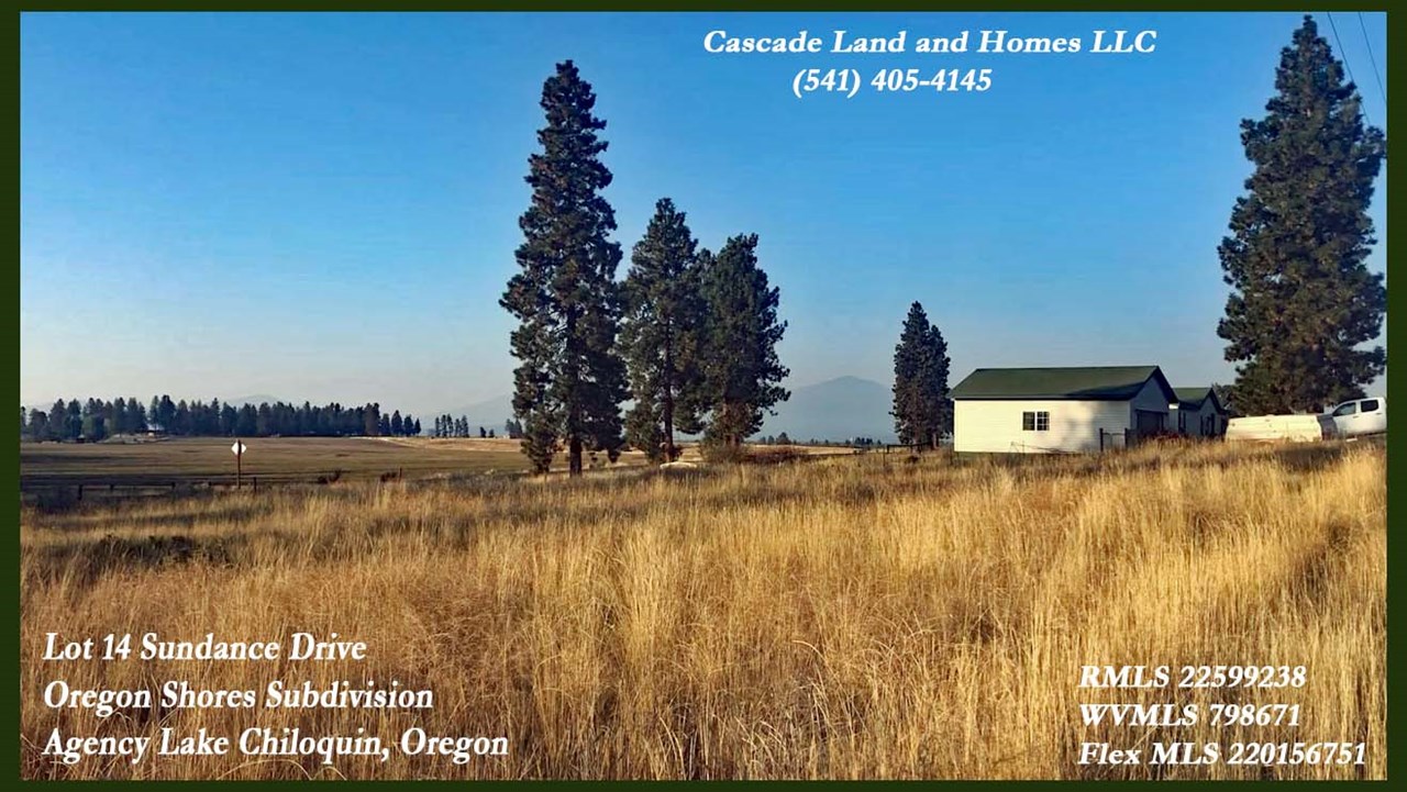 the property slopes gently up from the road and is mostly cleared. there are native grasses that cover the property and in the springtime, wildflowers blanket the entire area! there is a little smoke in this photo blowing in from the fires in northern california, but on most days you can clearly see the foothills and mountains in the distance.